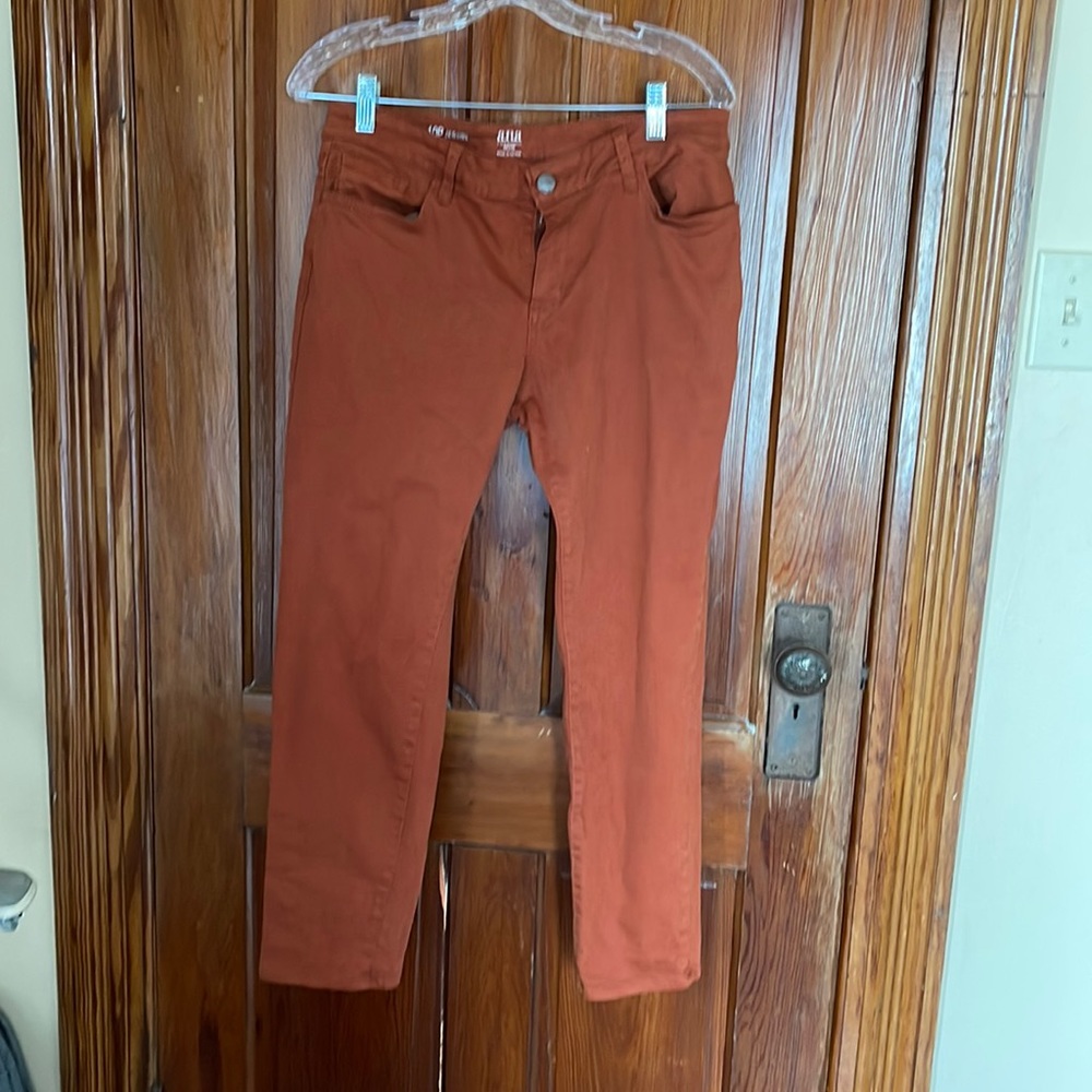 Rust 10p pants
